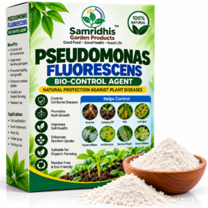 Home Samridhis Pseudomonas Fluorescens Bio-Control Agent powder for plants